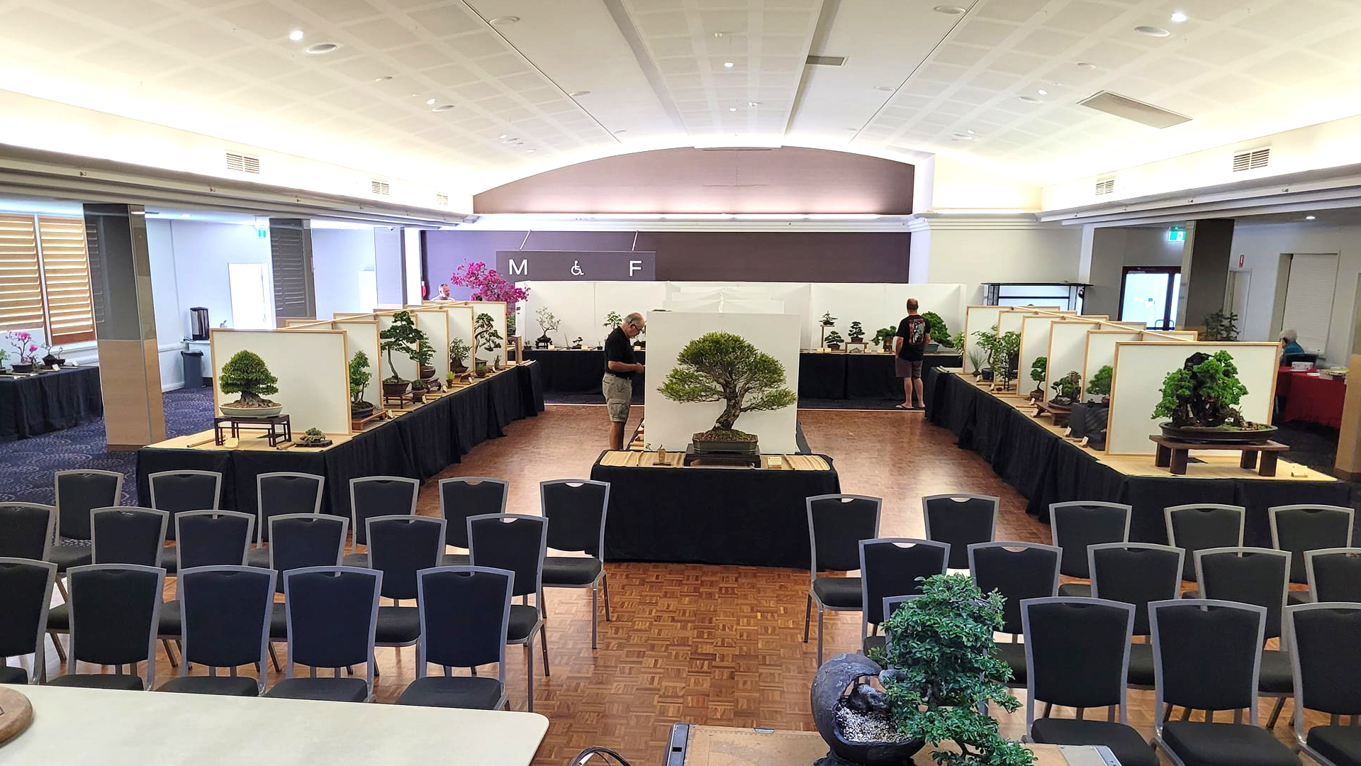Bonsai Exhbition