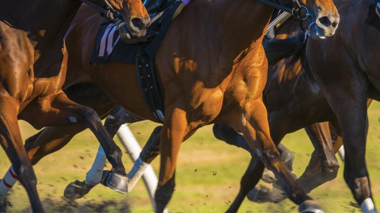 Melbourne Cup