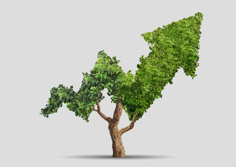 Learning Growth