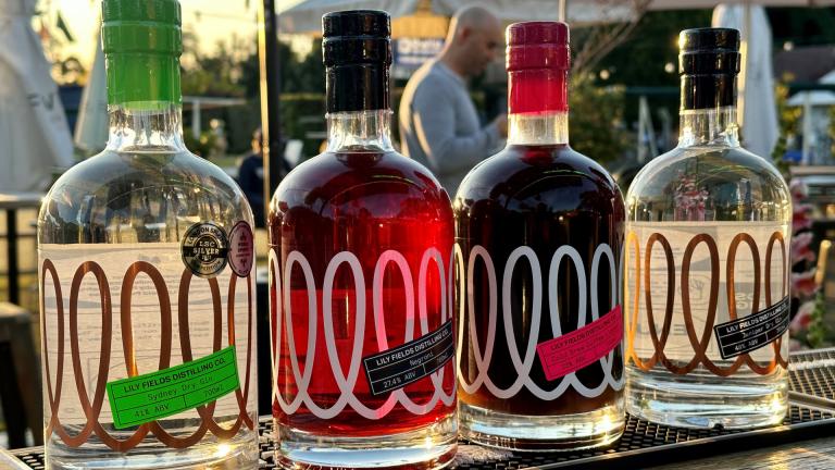 Gin bottles