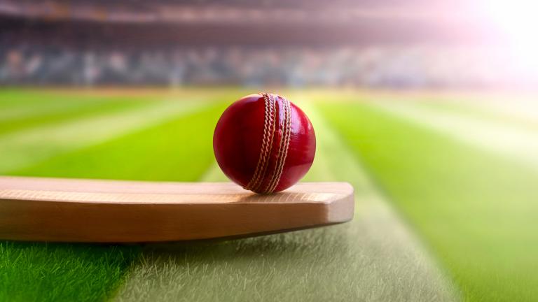 Cricket ball and bat
