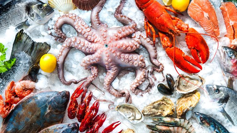 New Rules for Clubs Selling Seafood Dishes | ClubLIFE