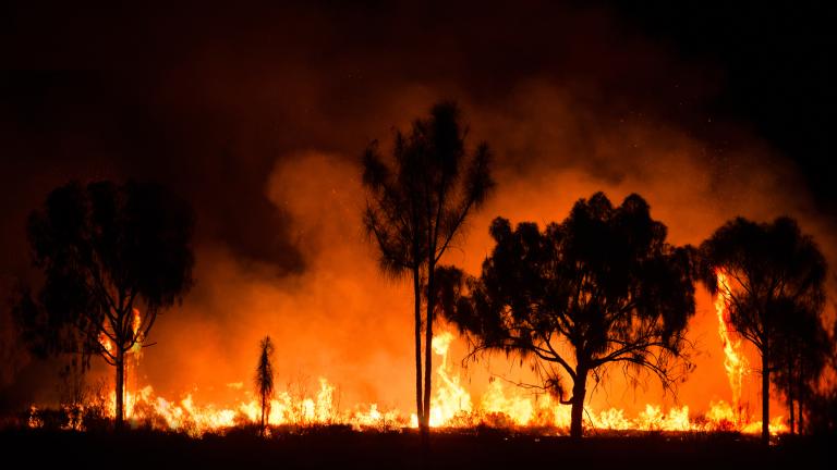 Outback bushfire