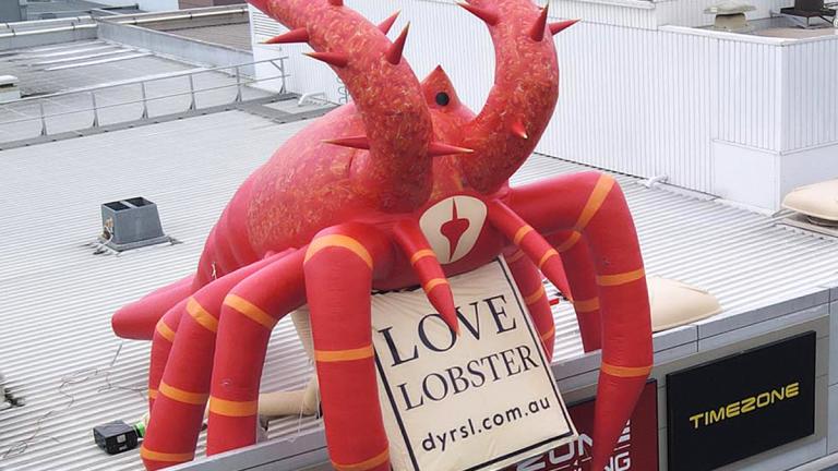 dEE wHY Lobster