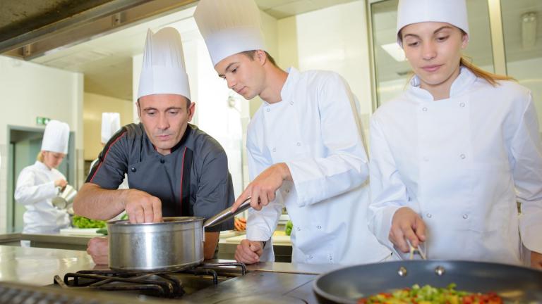 apprentice chef