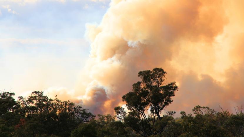 Horizon bushfire