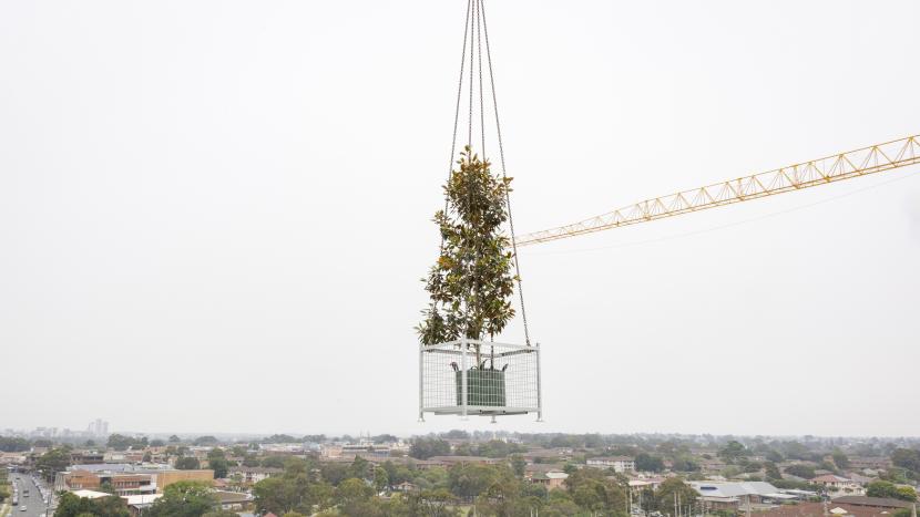 Cabra-Vale Diggers Topping Out